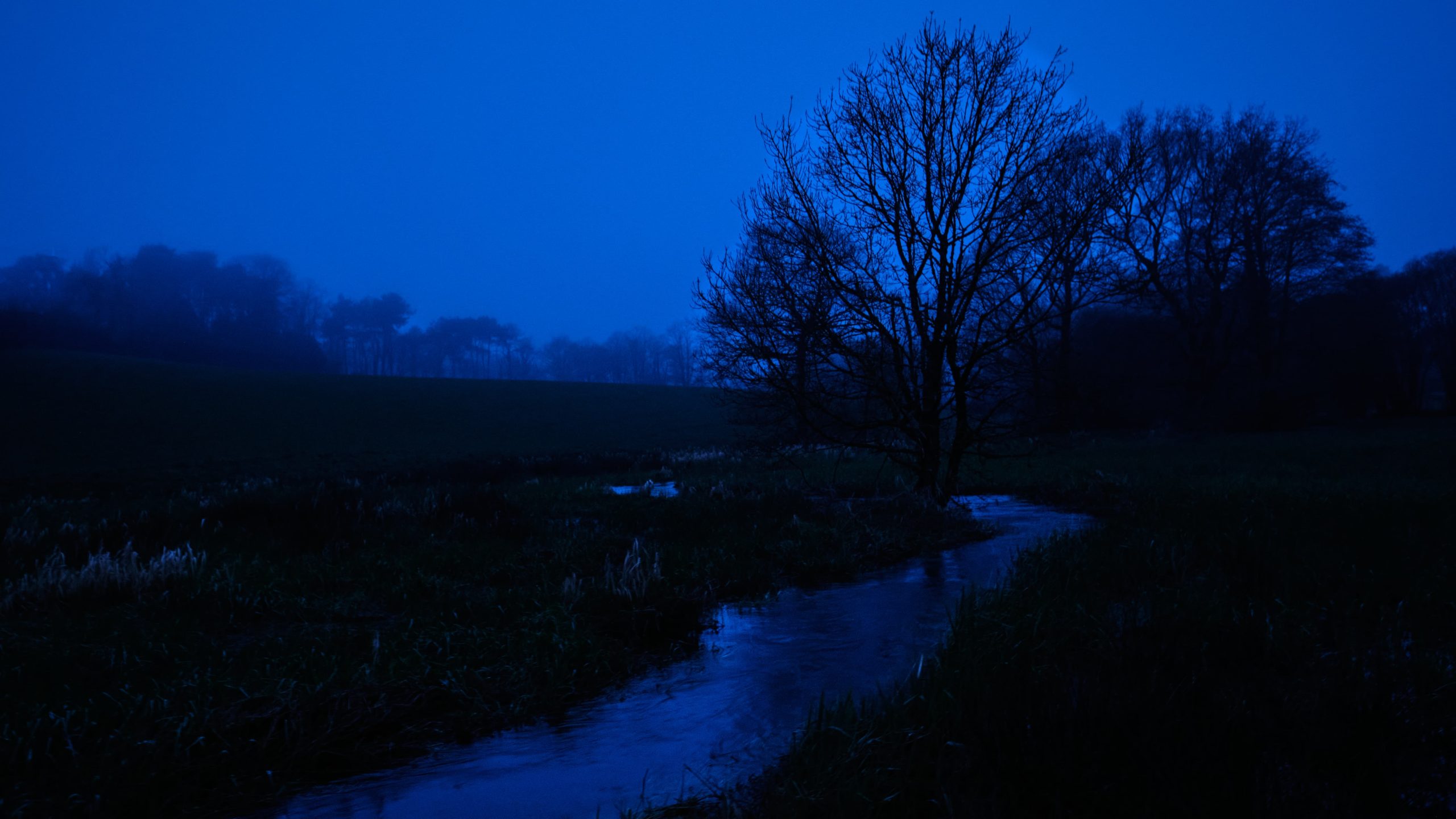 Calme Sauvage — Silence Bleu