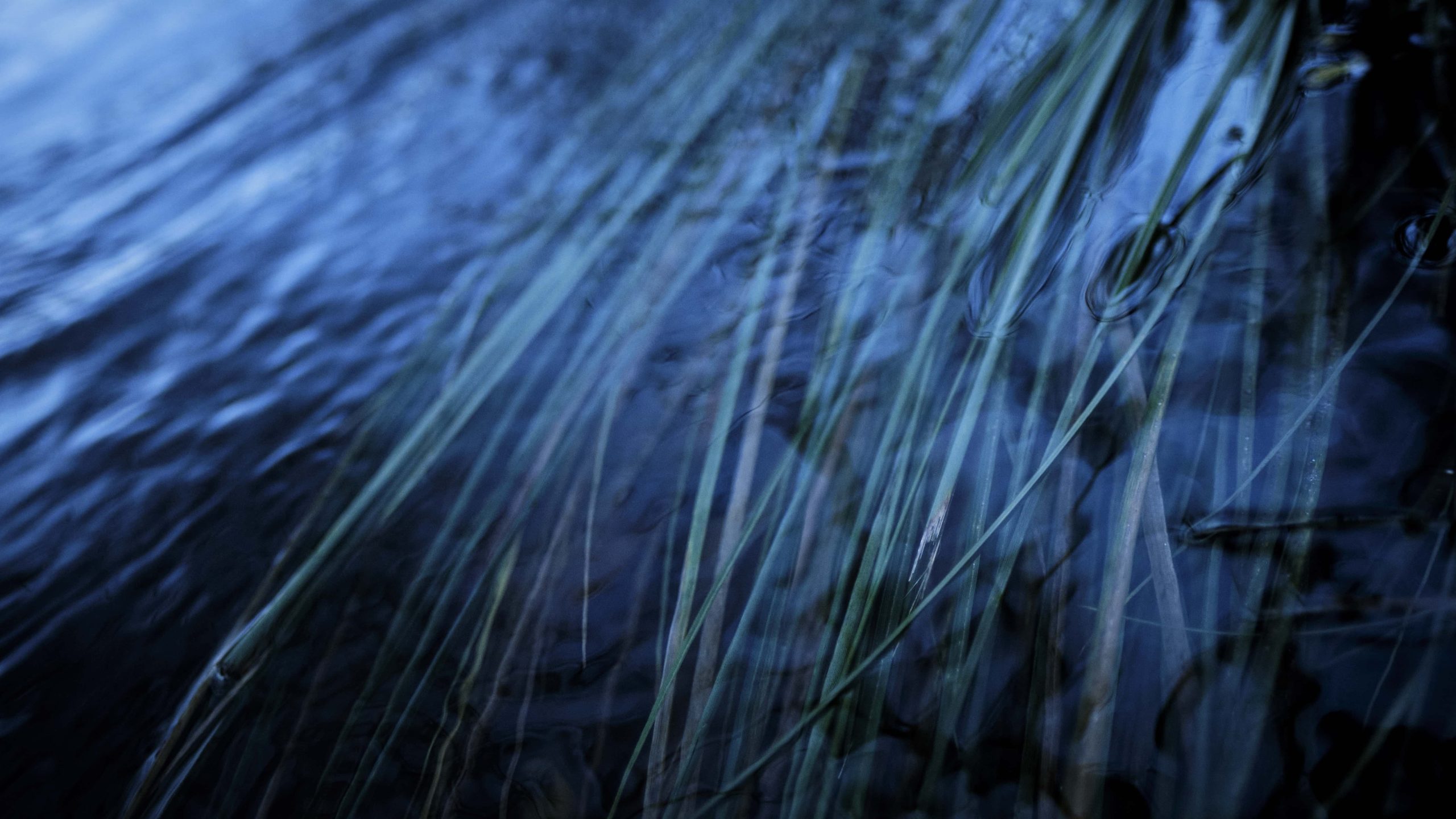 Courant Silencieux — Silence Bleu