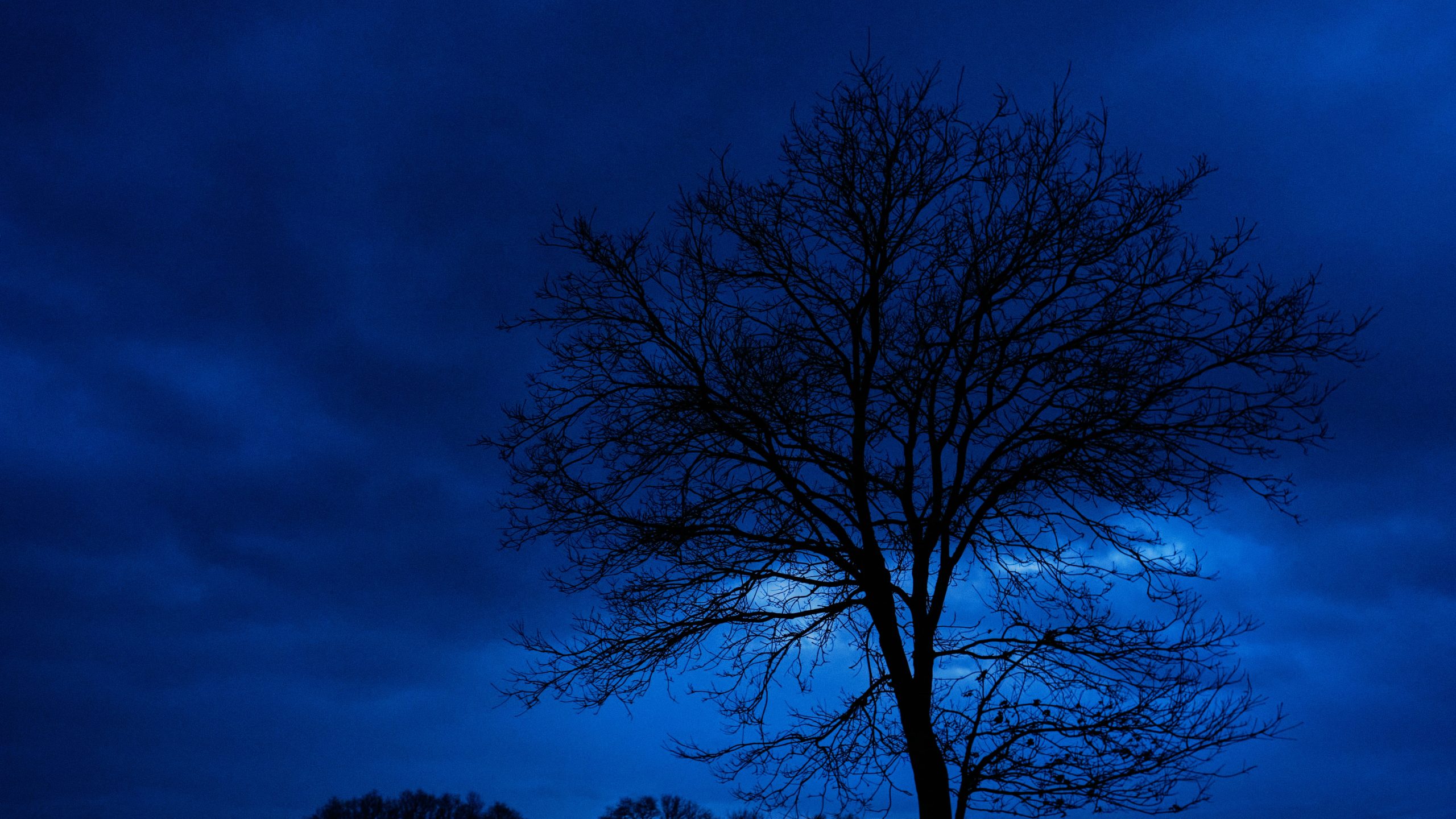 Dernière Lueur — Silence Bleu