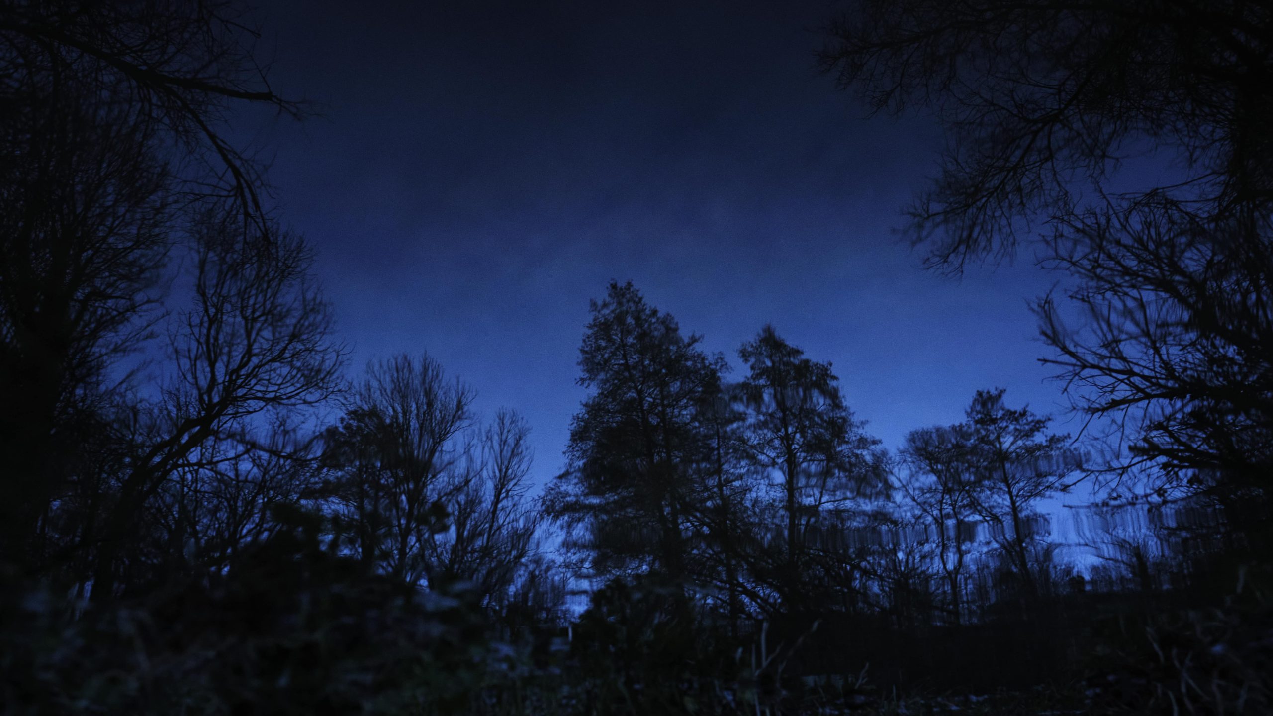 Monde Inversé — Silence Bleu