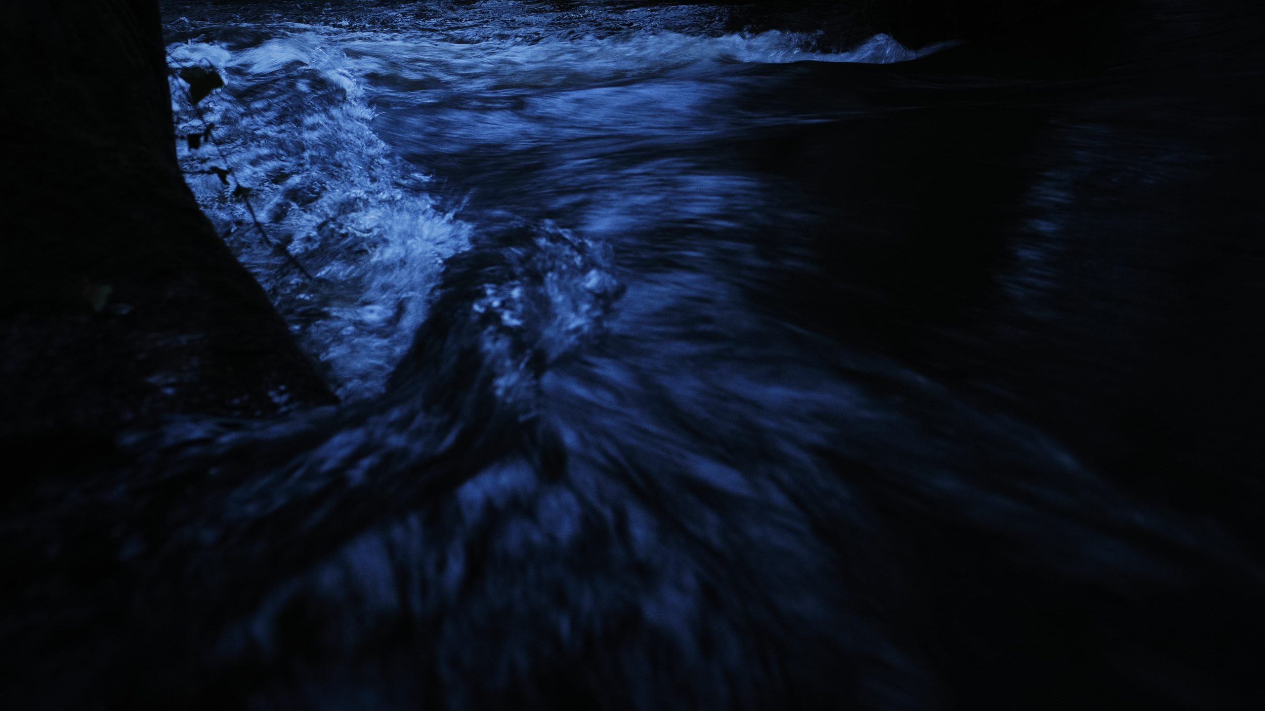 Murmure Nocturne — Silence Bleu